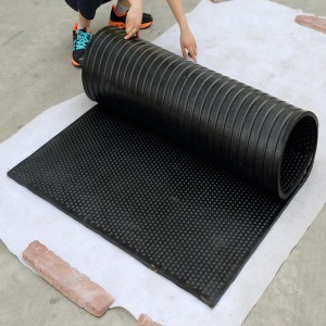 High quality Neoprene Rubber Flooring mat rubber foot mat for hotel